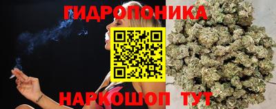 винт Балашиха