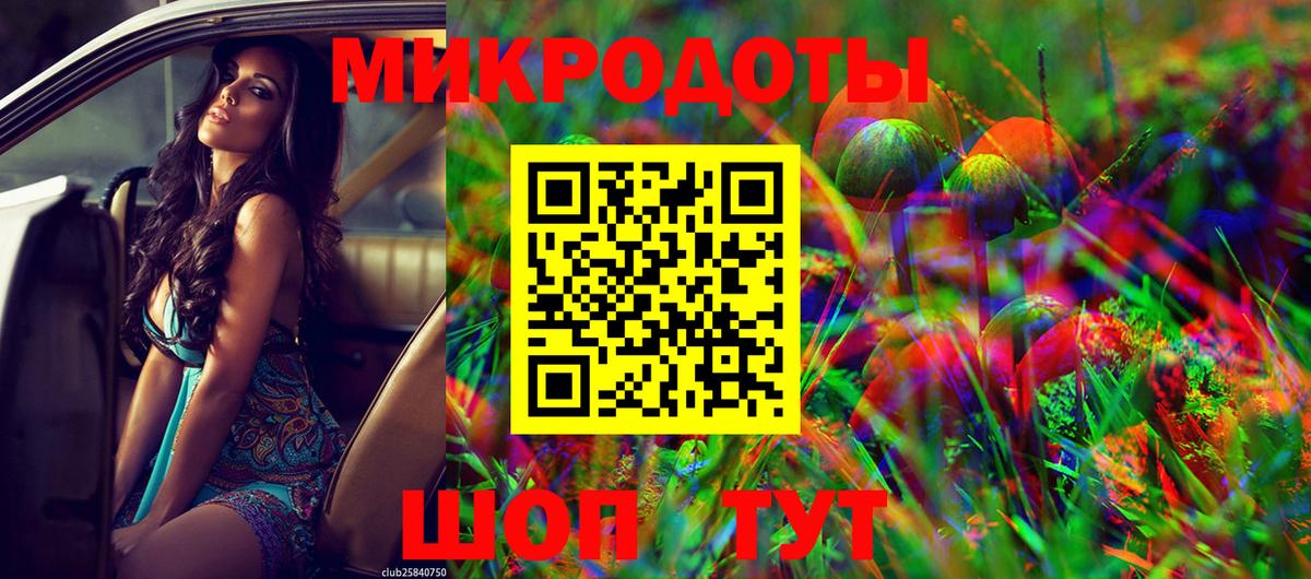 купить наркотик  Галлюциногенные грибы мухоморы  Вход с VPN  Владимир 
