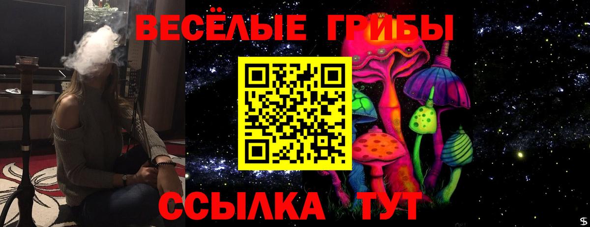 как найти закладки  Галлюциногенные грибы прущие грибы  Владимир  Галлюциногенные грибы Magic Shrooms 