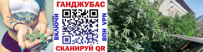 Канабис THC 21%  кракен ССЫЛКА  Владимир  продажа наркотиков 
