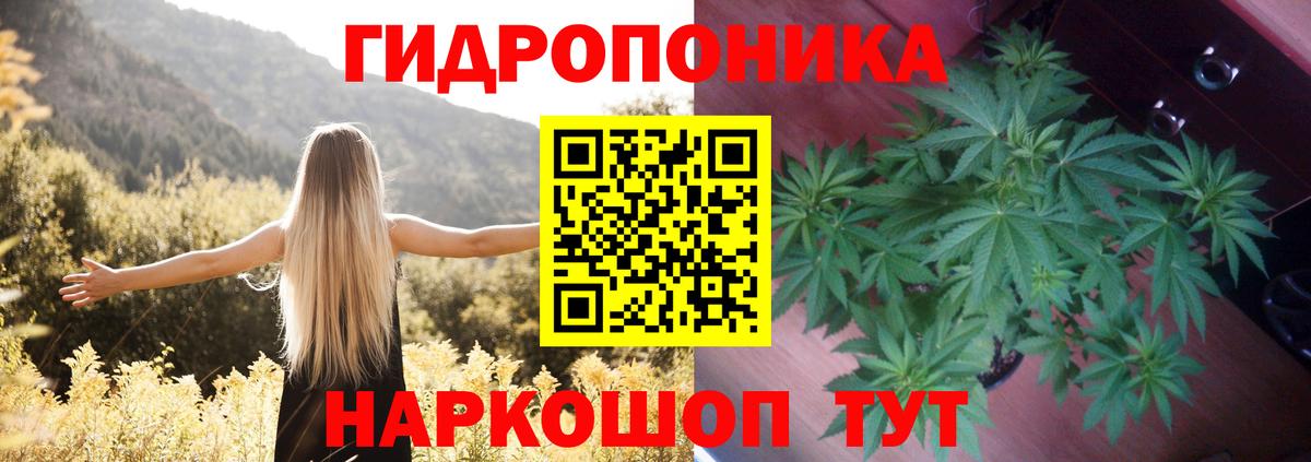 Бошки Шишки тримм  Владимир  Канабис THC 21%  МАРИХУАНА семена 